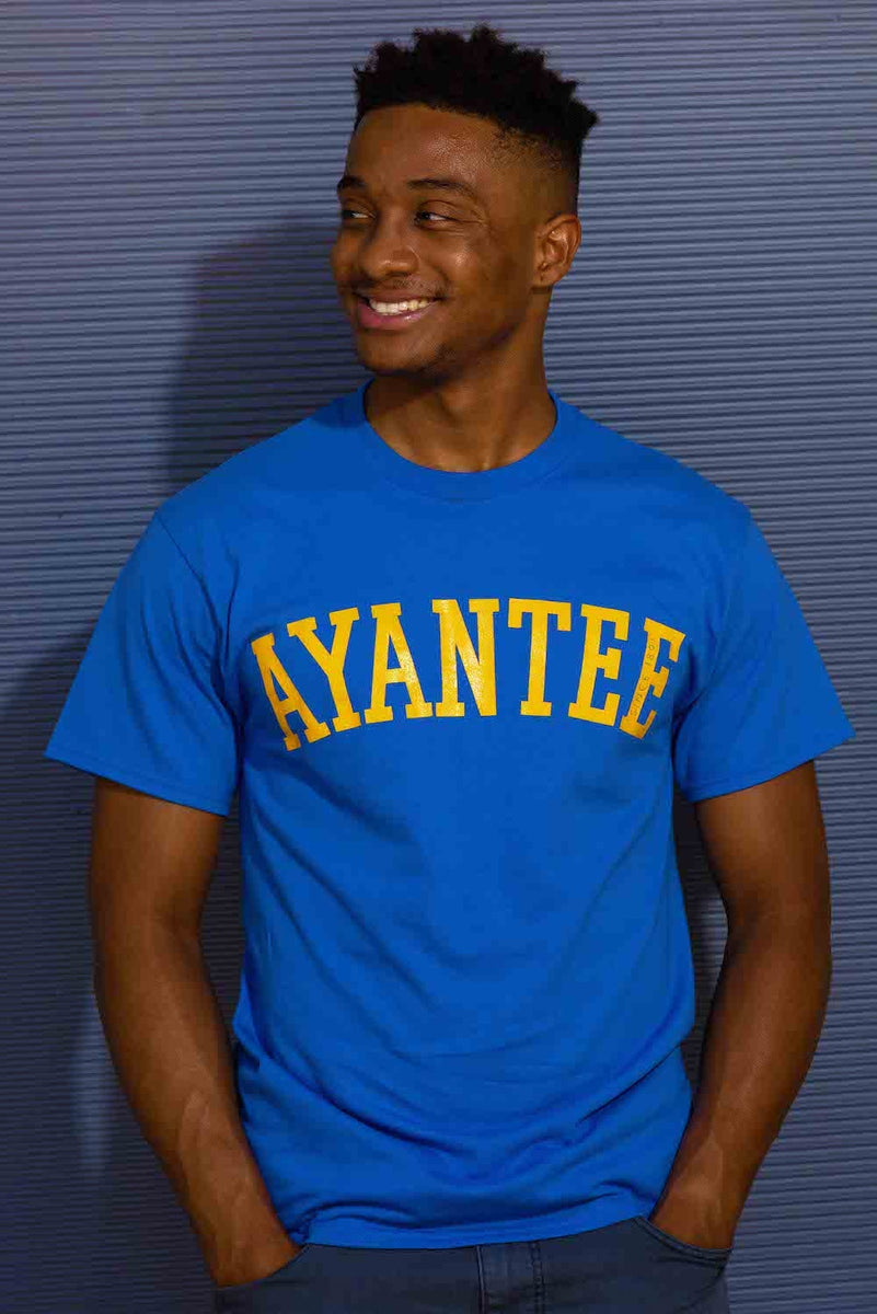 Shop Stylish Xavien Howard Printed T-Shirts for Men #1251951 at